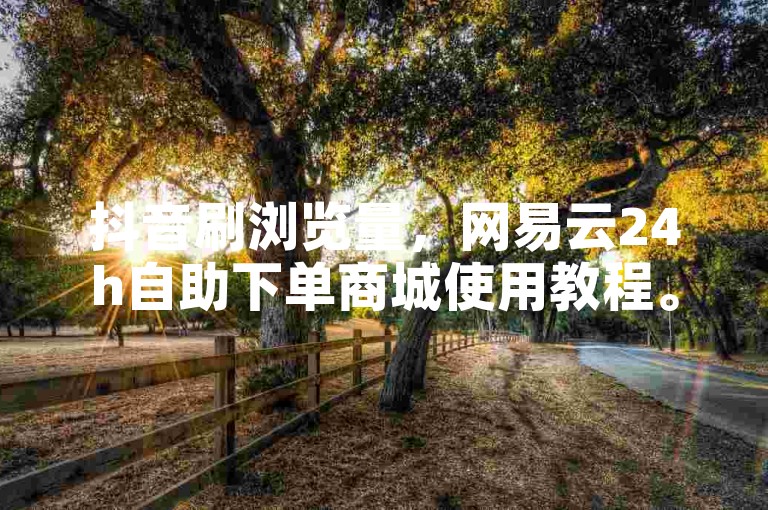抖音刷浏览量，网易云24h自助下单商城使用教程。