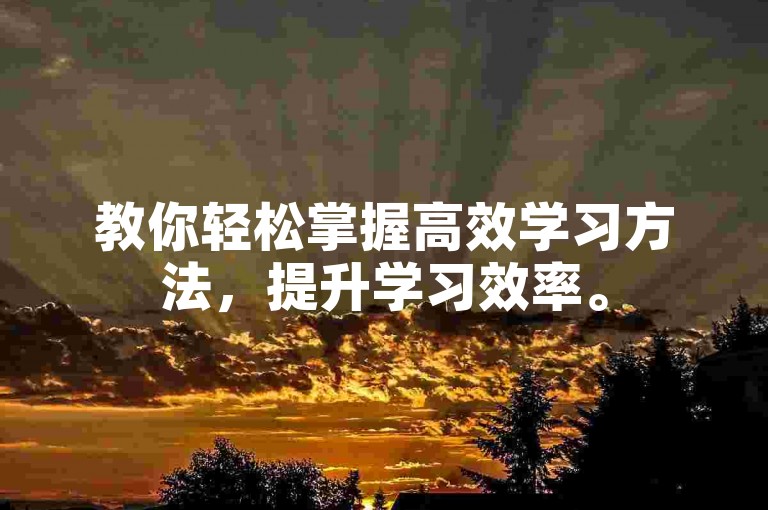 教你轻松掌握高效学习方法，提升学习效率。