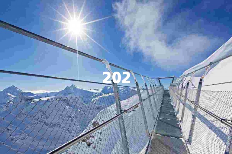 2025拼多多互助群可通过网络搜索或社交平台相关小组寻找。