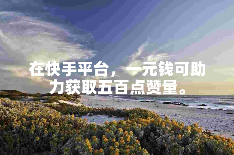 在快手平台，一元钱可助力获取五百点赞量。