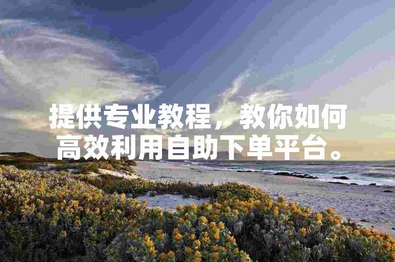 提供专业教程，教你如何高效利用自助下单平台。