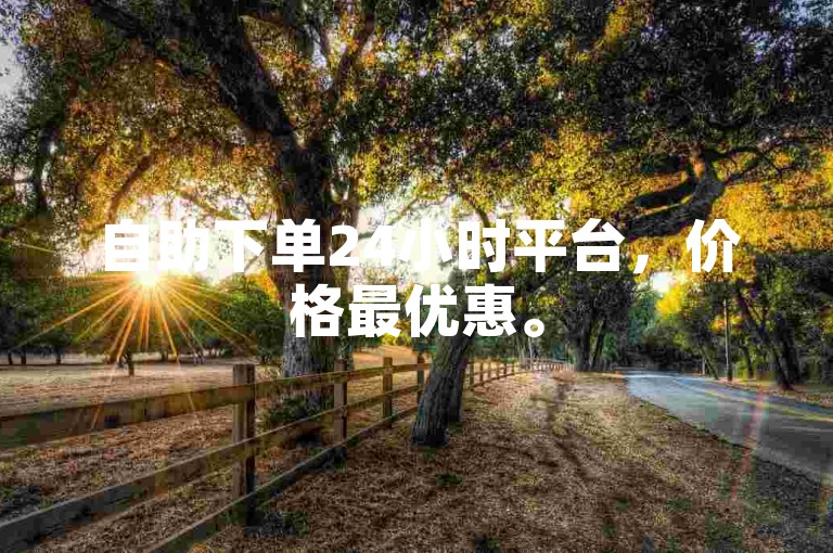 自助下单24小时平台，价格最优惠。