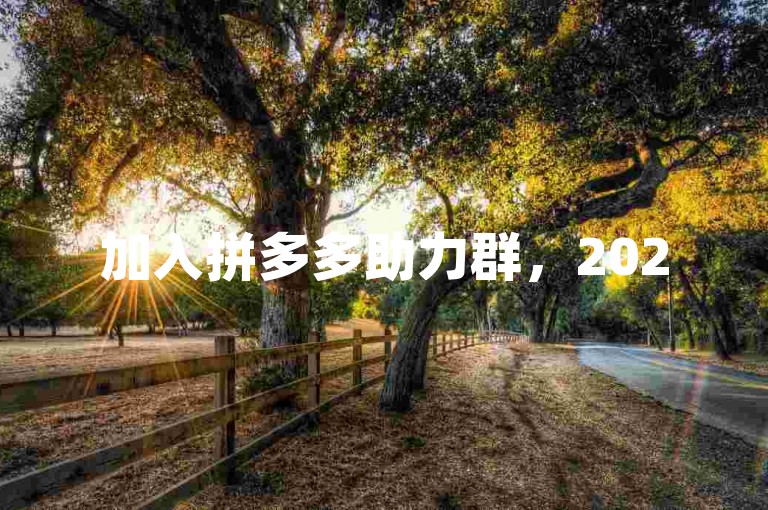 加入拼多多助力群，2025年免费砍价等你来。