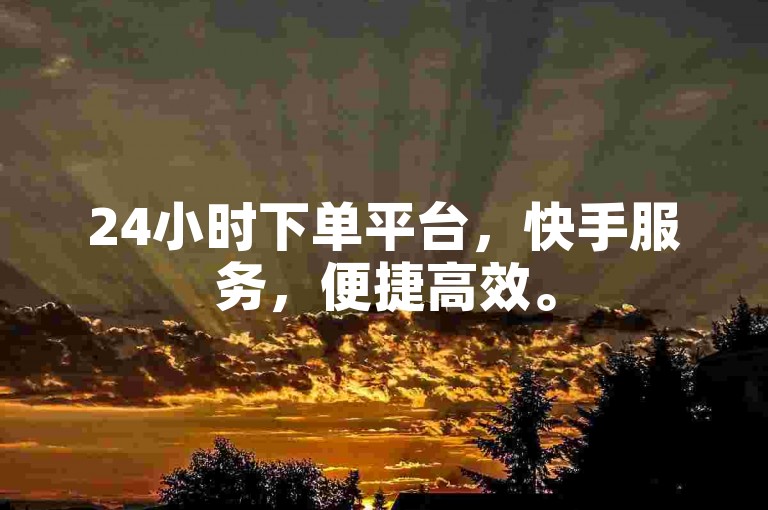 24小时下单平台，快手服务，便捷高效。