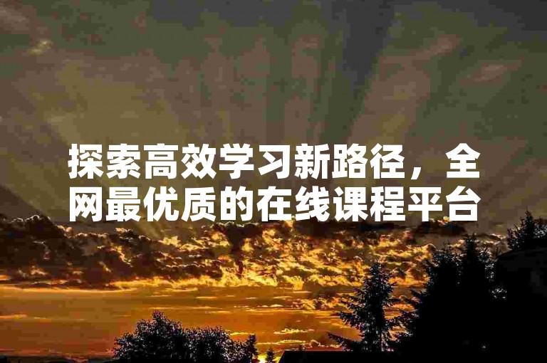 探索高效学习新路径，全网最优质的在线课程平台助你提升自我。