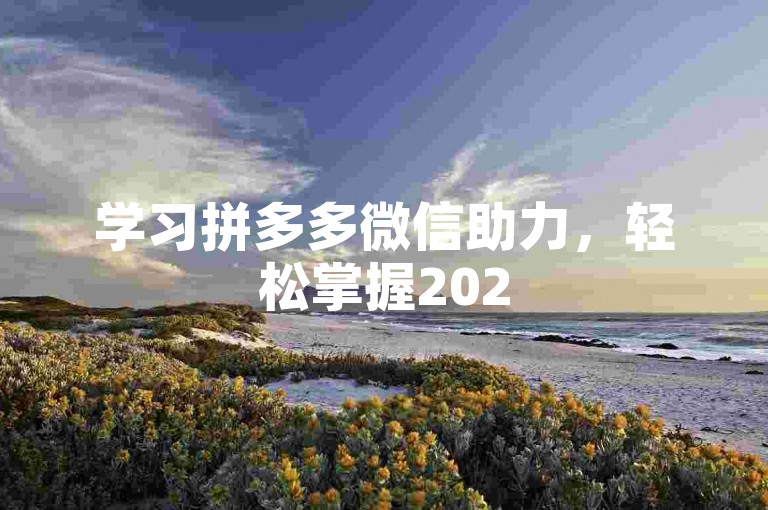学习拼多多微信助力，轻松掌握2025年互助技巧。