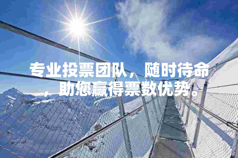 专业投票团队，随时待命，助您赢得票数优势。