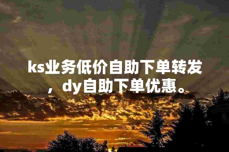 ks业务低价自助下单转发，dy自助下单优惠。