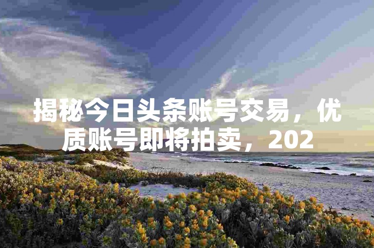 揭秘今日头条账号交易，优质账号即将拍卖，2025年必备知识！