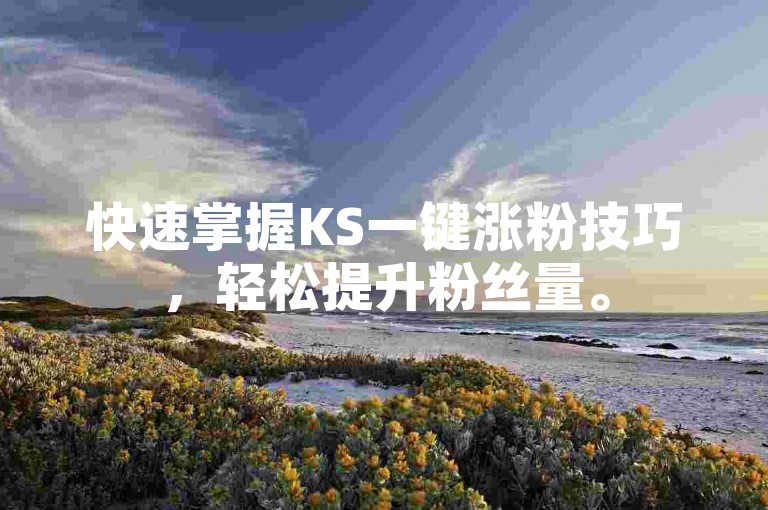 快速掌握KS一键涨粉技巧，轻松提升粉丝量。