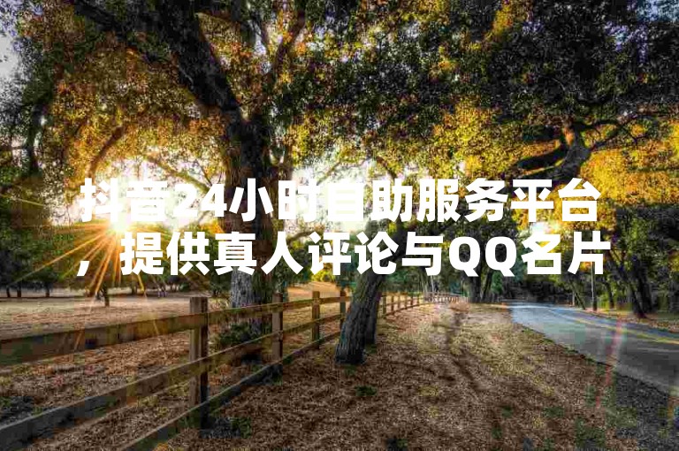 抖音24小时自助服务平台，提供真人评论与QQ名片点赞服务。