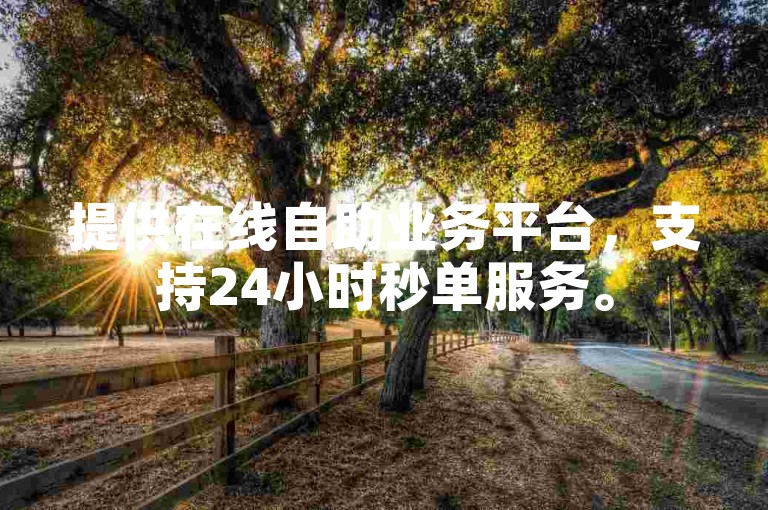 提供在线自助业务平台，支持24小时秒单服务。