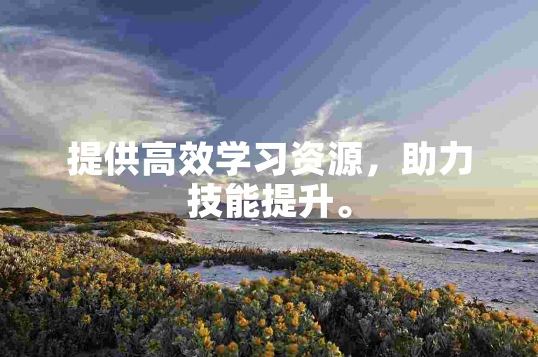 提供高效学习资源，助力技能提升。