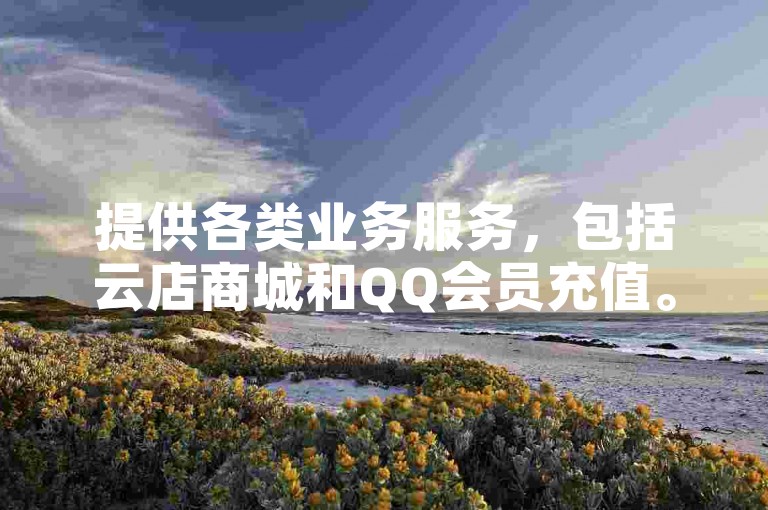 提供各类业务服务，包括云店商城和QQ会员充值。