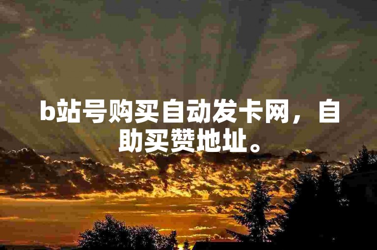 b站号购买自动发卡网，自助买赞地址。