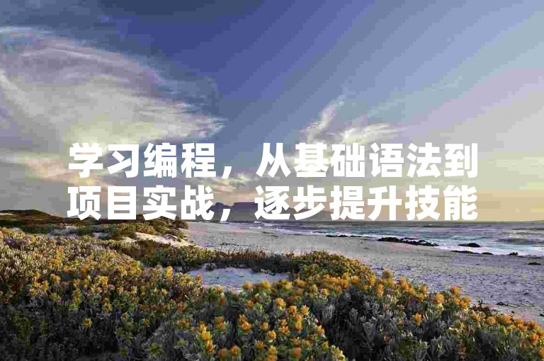 学习编程，从基础语法到项目实战，逐步提升技能。