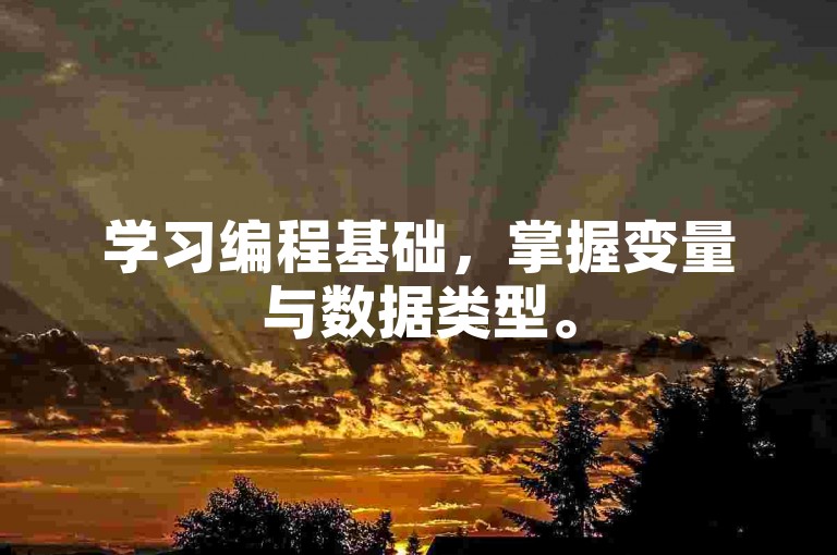 学习编程基础，掌握变量与数据类型。