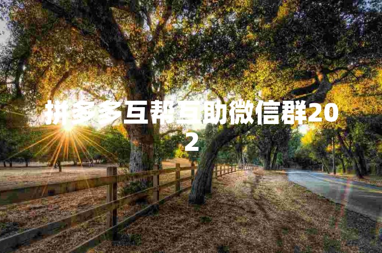 拼多多互帮互助微信群2025版，是社交与电商结合的新风尚。