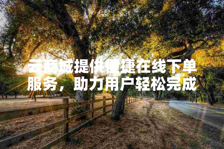 云商城提供便捷在线下单服务，助力用户轻松完成购物流程。