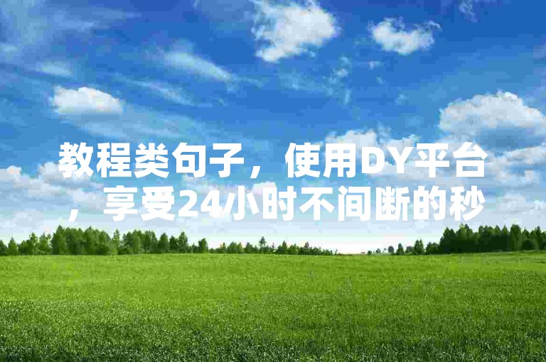 教程类句子，使用DY平台，享受24小时不间断的秒单服务。
