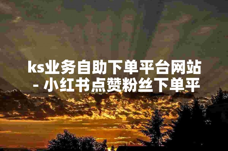 ks业务自助下单平台网站 - 小红书点赞粉丝下单平台业务