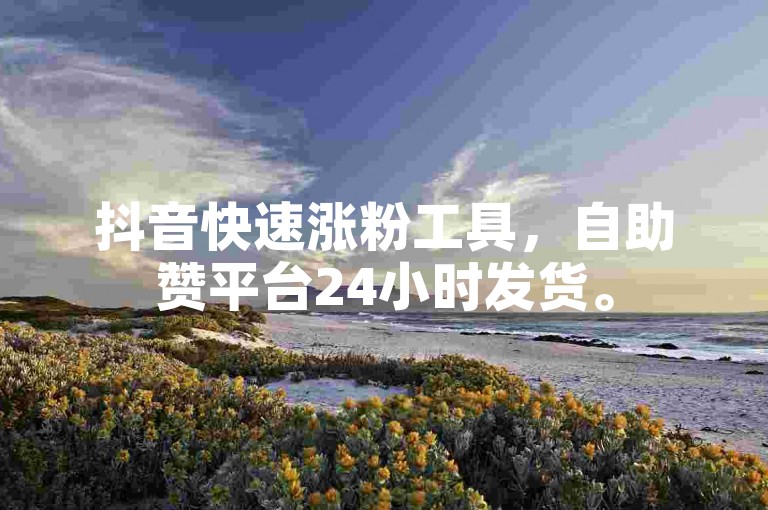 抖音快速涨粉工具，自助赞平台24小时发货。