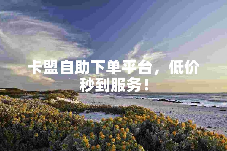 卡盟自助下单平台，低价秒到服务！