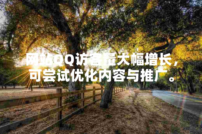 网站QQ访客量大幅增长，可尝试优化内容与推广。