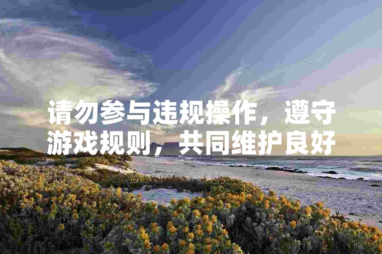 请勿参与违规操作，遵守游戏规则，共同维护良好环境。