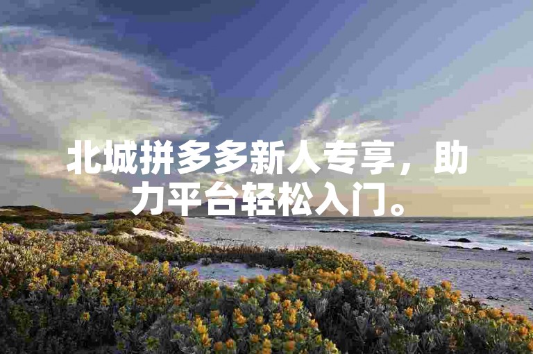 北城拼多多新人专享，助力平台轻松入门。
