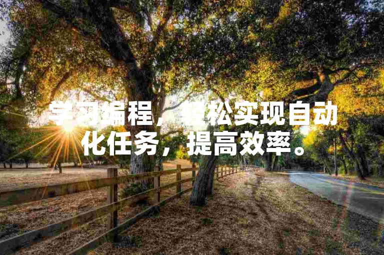 学习编程，轻松实现自动化任务，提高效率。