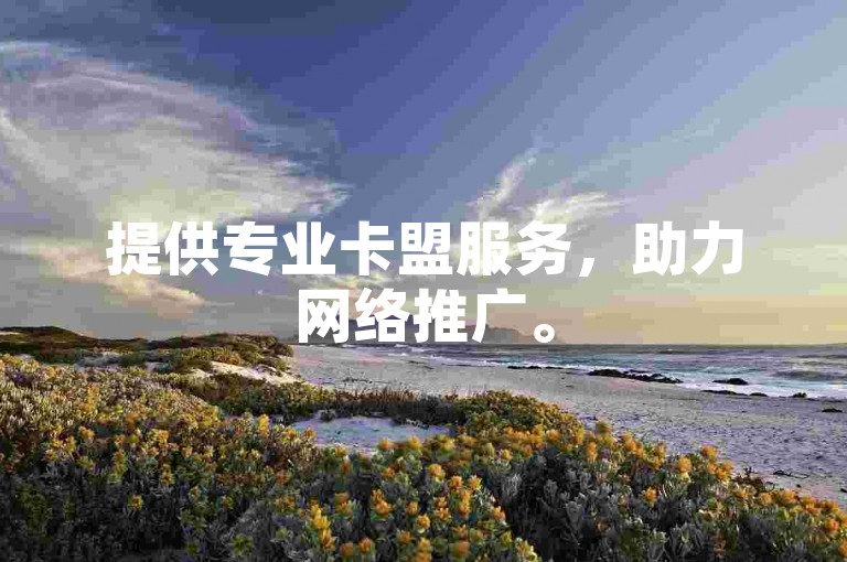 提供专业卡盟服务，助力网络推广。