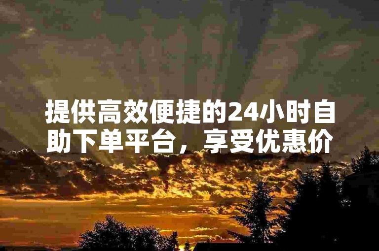 提供高效便捷的24小时自助下单平台，享受优惠价格。