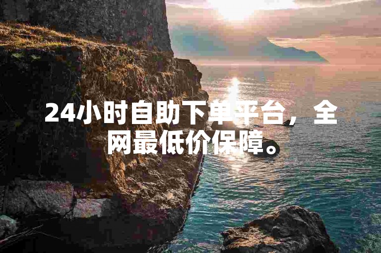 24小时自助下单平台，全网最低价保障。