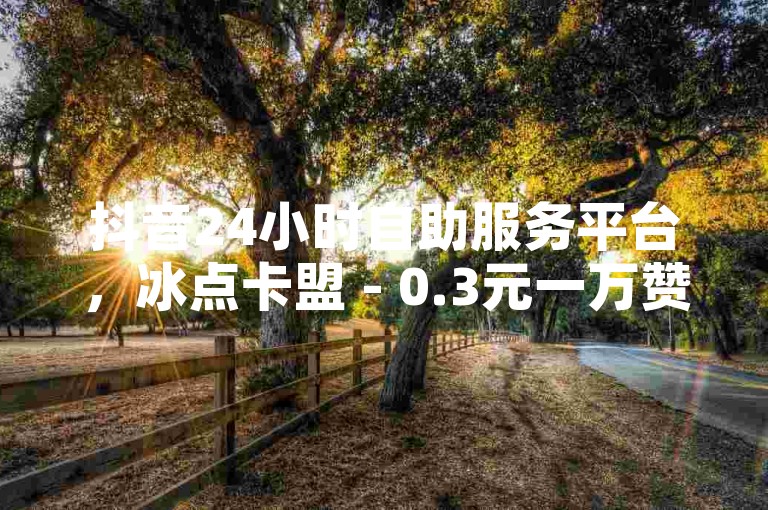 抖音24小时自助服务平台，冰点卡盟 - 0.3元一万赞 - 1元100赞自助。
