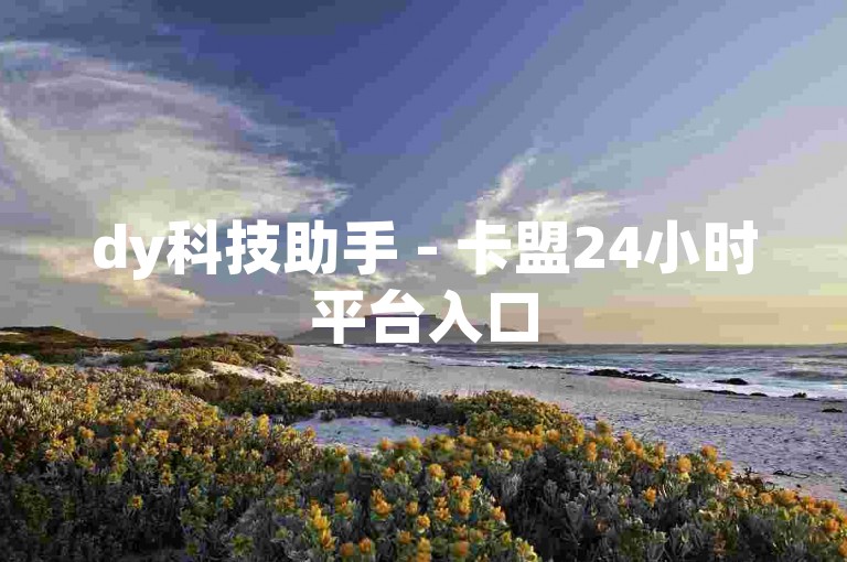 dy科技助手 - 卡盟24小时平台入口