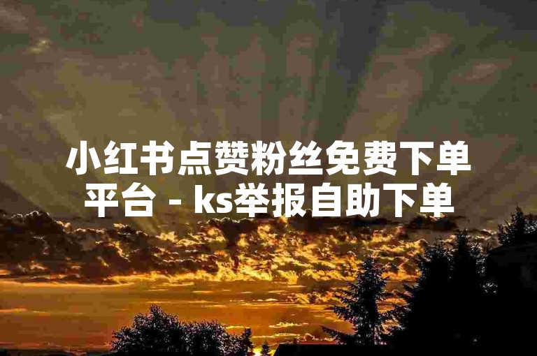 小红书点赞粉丝免费下单平台 - ks举报自助下单