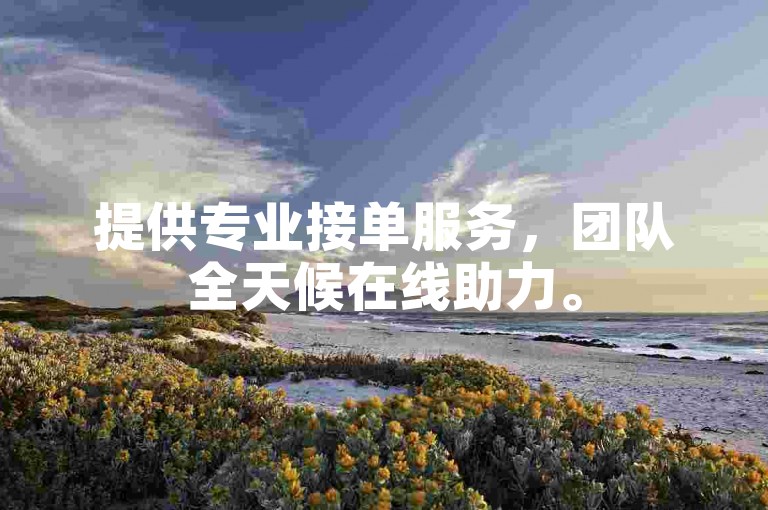 提供专业接单服务，团队全天候在线助力。