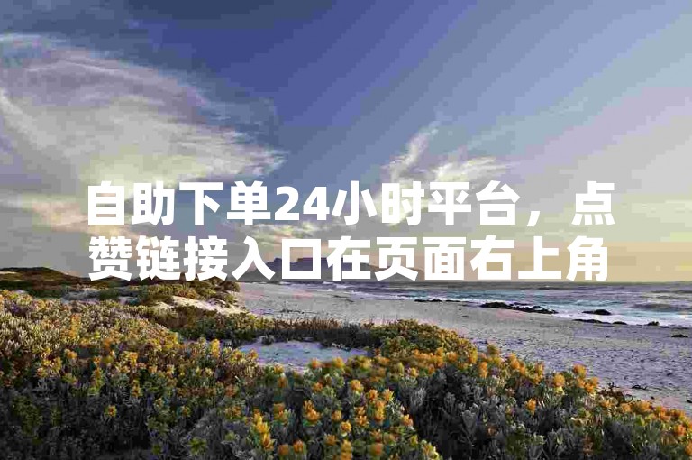 自助下单24小时平台，点赞链接入口在页面右上角。