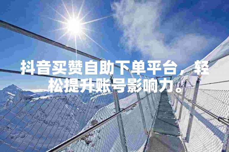 抖音买赞自助下单平台，轻松提升账号影响力。