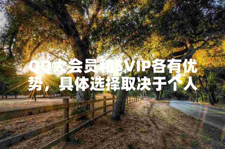 QQ大会员和SVIP各有优势，具体选择取决于个人需求。