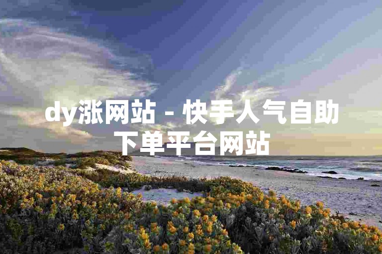 dy涨网站 - 快手人气自助下单平台网站