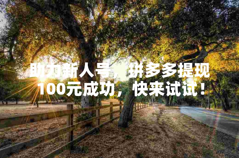 助力新人号，拼多多提现100元成功，快来试试！
