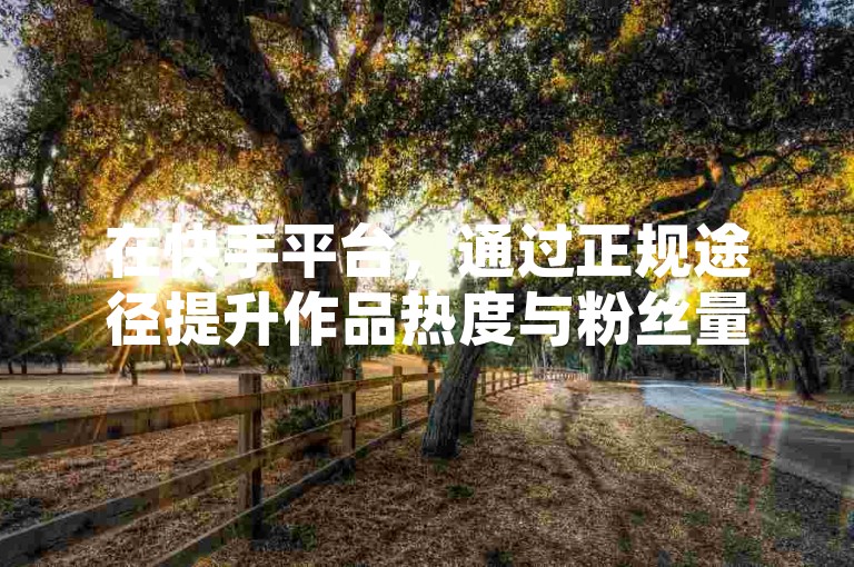 在快手平台，通过正规途径提升作品热度与粉丝量是可行的。