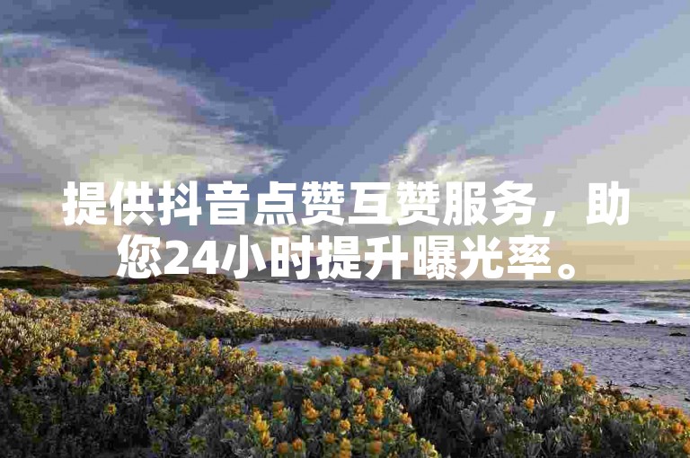 提供抖音点赞互赞服务，助您24小时提升曝光率。