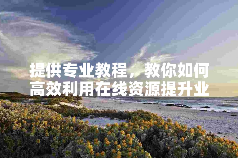 提供专业教程，教你如何高效利用在线资源提升业务。