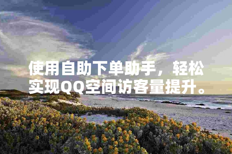使用自助下单助手，轻松实现QQ空间访客量提升。