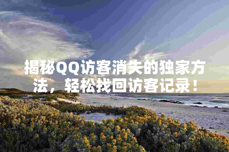 揭秘QQ访客消失的独家方法，轻松找回访客记录！
