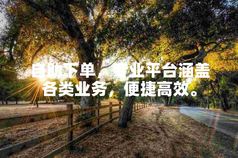 自助下单，专业平台涵盖各类业务，便捷高效。