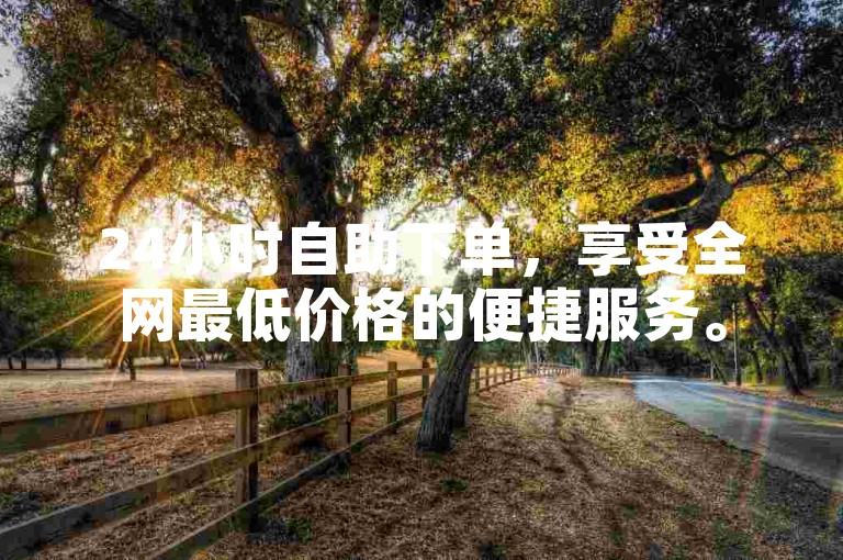 24小时自助下单，享受全网最低价格的便捷服务。